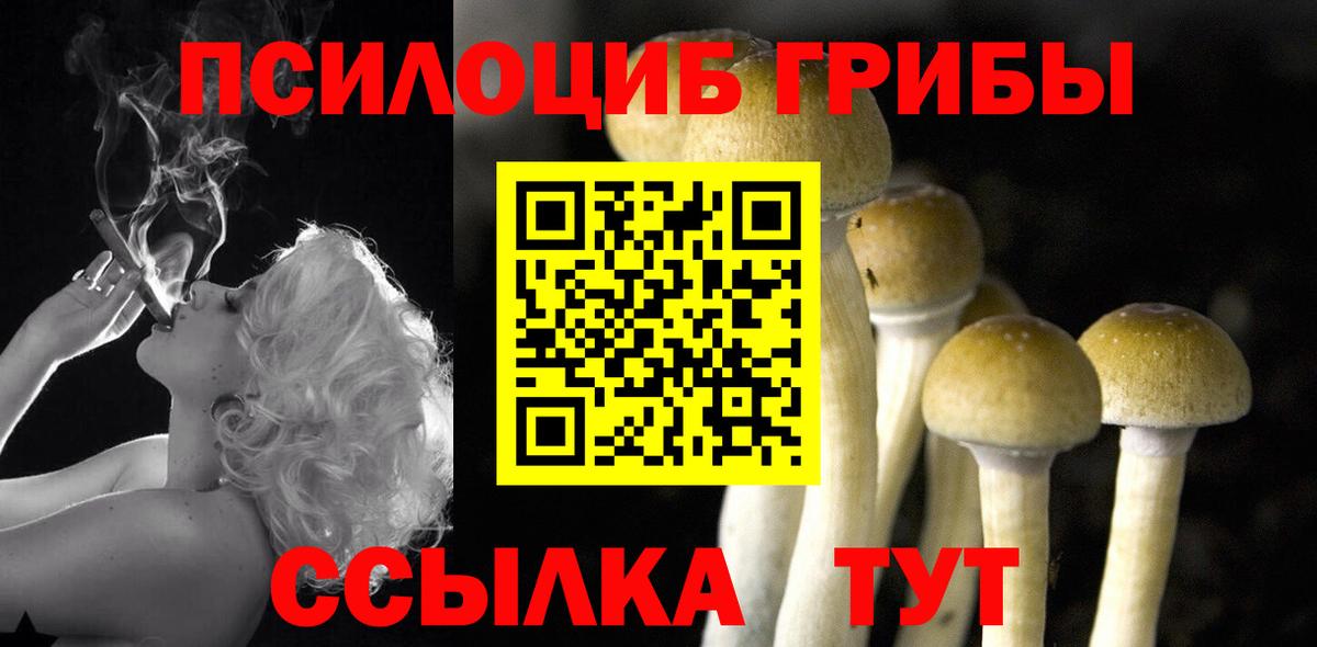 Псилоцибиновые грибы ЛСД  Вход с VPN  Родники 