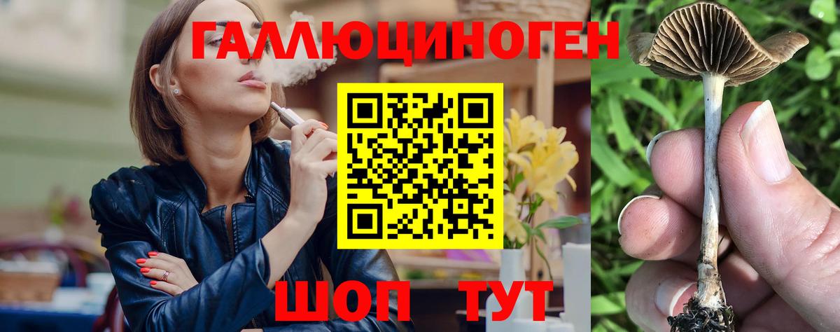 Галлюциногенные грибы MAGIC MUSHROOMS Родники